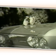 Illustration for article titled Chevy Once Used the Power of Cat Videos to Sell Corvairs